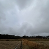 2024/12/07 土曜日　大雪