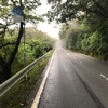 伊豆箱根鉄道のサイクルトレイン