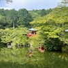 お礼参りウォーキング／醍醐寺