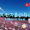 【国営昭和記念公園 コスモスまつり2016】