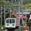 近江鉄道 2024　8/30-31