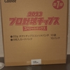 プロ野球チップス２０２３第１弾　スペシャルボックス開封！