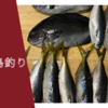 【多分初】12月の伊豆大島の釣り！(2023/12/02〜04)