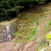 角牟礼城　西門跡