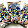 仮面ライダーバトル ガンバライジング バーストライズチョコウエハース２