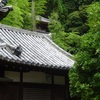 松尾寺の境内