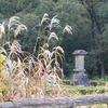 野山北・六道山公園_赤坂谷戸（東京都武蔵村山市）