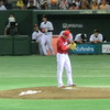カープと違う野球が東京ドームにありました