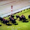 2024年6月29日放送「諦めない心 ／ ダイアナヘイロー」