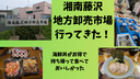湘南藤沢地方卸売市場まとめ｜市場メシ×鮮魚×市場構造の総合レビュー