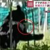 京アニ事件で,「落選や盗作」放火動機、被告人質問