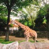 〔日記〕金沢動物園から絶景を堪能する