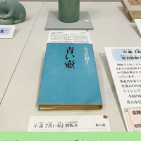 読書感想 有吉佐和子 青い壺 とモデルになった 壺画像 - ポコアポコヤ latifa