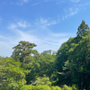ウォーキング！太閤山ランド！