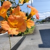 足湯に癒やされました