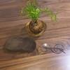 【リブート】この11カ月何をしていたか？などと今後の当サイトの方向性について