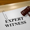 Expert Witness -専門家証言-