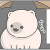 ハリネズミは懐かない