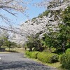 桜と筍🌸