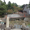 竹生島行ってきた。