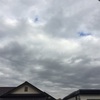 浮いたり沈んだり