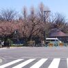 バタバタホワイトデー