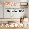 柴犬(豆柴)の飼い方【完全ガイド！】初恋DOGs『サクラ』
