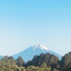 今朝の景色