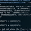 Google CTF 2019 Wrietup (Beginners)