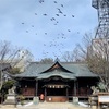 北西開運旅行　～四柱神社