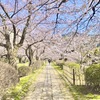 自分の中心で生きると人生が整う｜瞑想でブレない自分を取り戻す