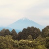 今朝の景色