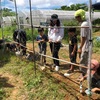 【畑】親子みんなでゴーヤーカーテン✨😆🌈　〜やっぱり子どもの可能性は無限大〜