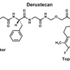 抗体薬物複合体 Antibody Drug Conjugate 〜 肺癌関係　ASCO2023