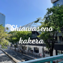 shiawasenokakeraの日記