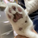少し気になる話