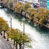 京急　大岡川秋色