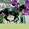 競馬初心者必見☆馬券予想🔥〜サウジアラビアRC〜断然人気馬にも死角あり？