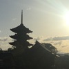 もし明日香村なら、礎石が主役になれるのに　　東寺　桜