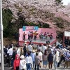 岩崎城の花祭りに行く