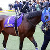 JRA C.ルメール「ジャパンCダートに行かないの？」武蔵野S（G3）なぞる軌跡は「栄光の架橋」!? 時を超えたベルシャザール2世がチャンピオンズC（G1）奪取へ始動