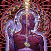 #0389) LATERALUS / TOOL 【2001年リリース】