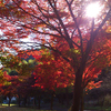 岩戸公園