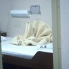 海底広域研究船「かいめい」に限界芸術の継承を見る