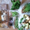 4月15日に届いた野菜便