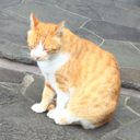 自分とねんごろになるには