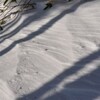 再び奥物部独り遊山　山陵へ