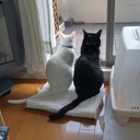 こたはなのブログ