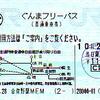 群馬県民の日（中）