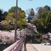 桜色「さくら橋」